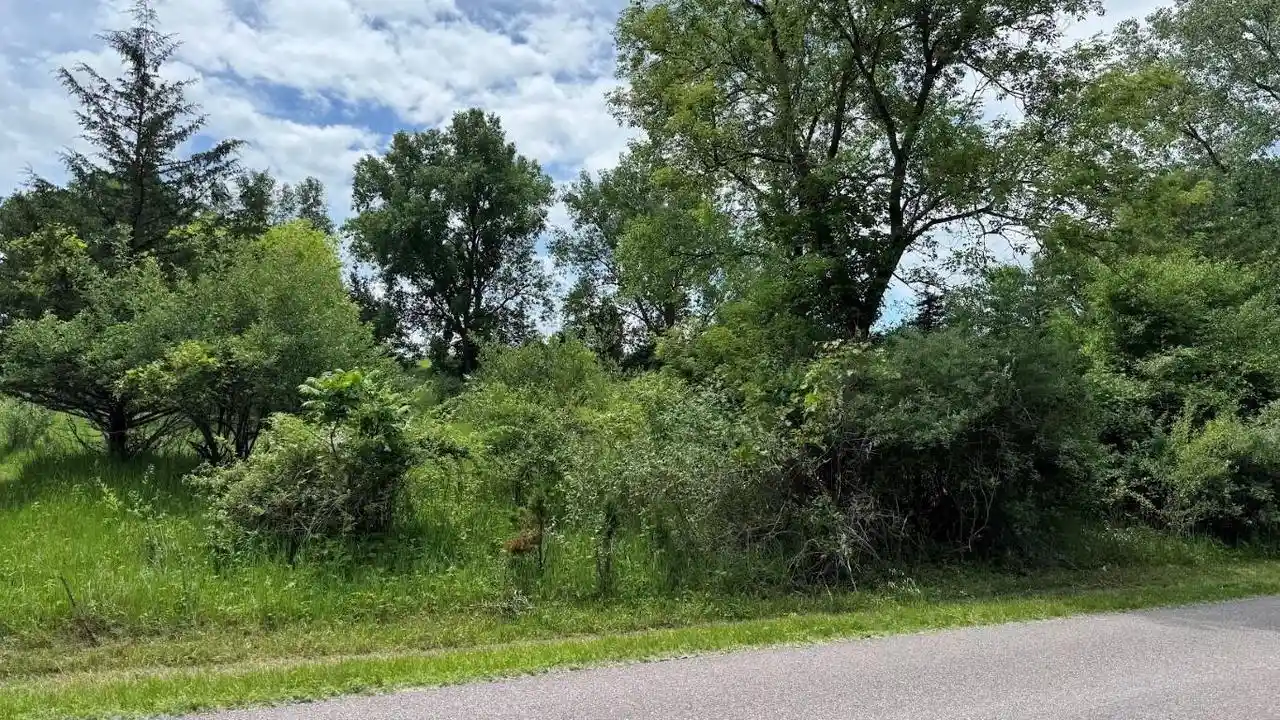 Homes for sale in Wisconsin Dells, WI | Lot 1 Hillside Dr Dr, Wisconsin Dells, WI 53965 | MLS# 2002571