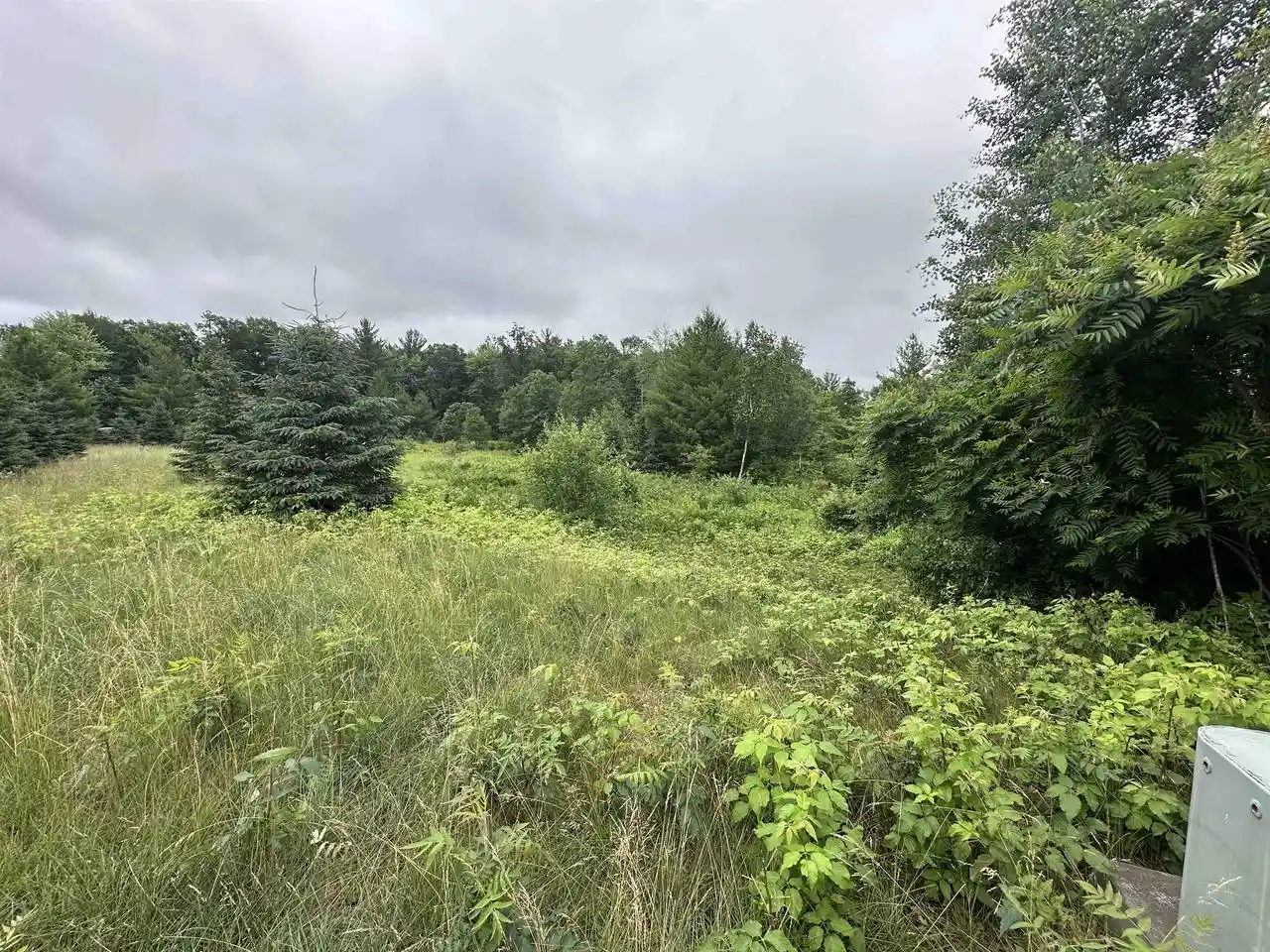 Homes for sale in Wisconsin Rapids, WI | Lot 41 Point Trail Trail, Wisconsin Rapids, WI 54494 | MLS# 22502901