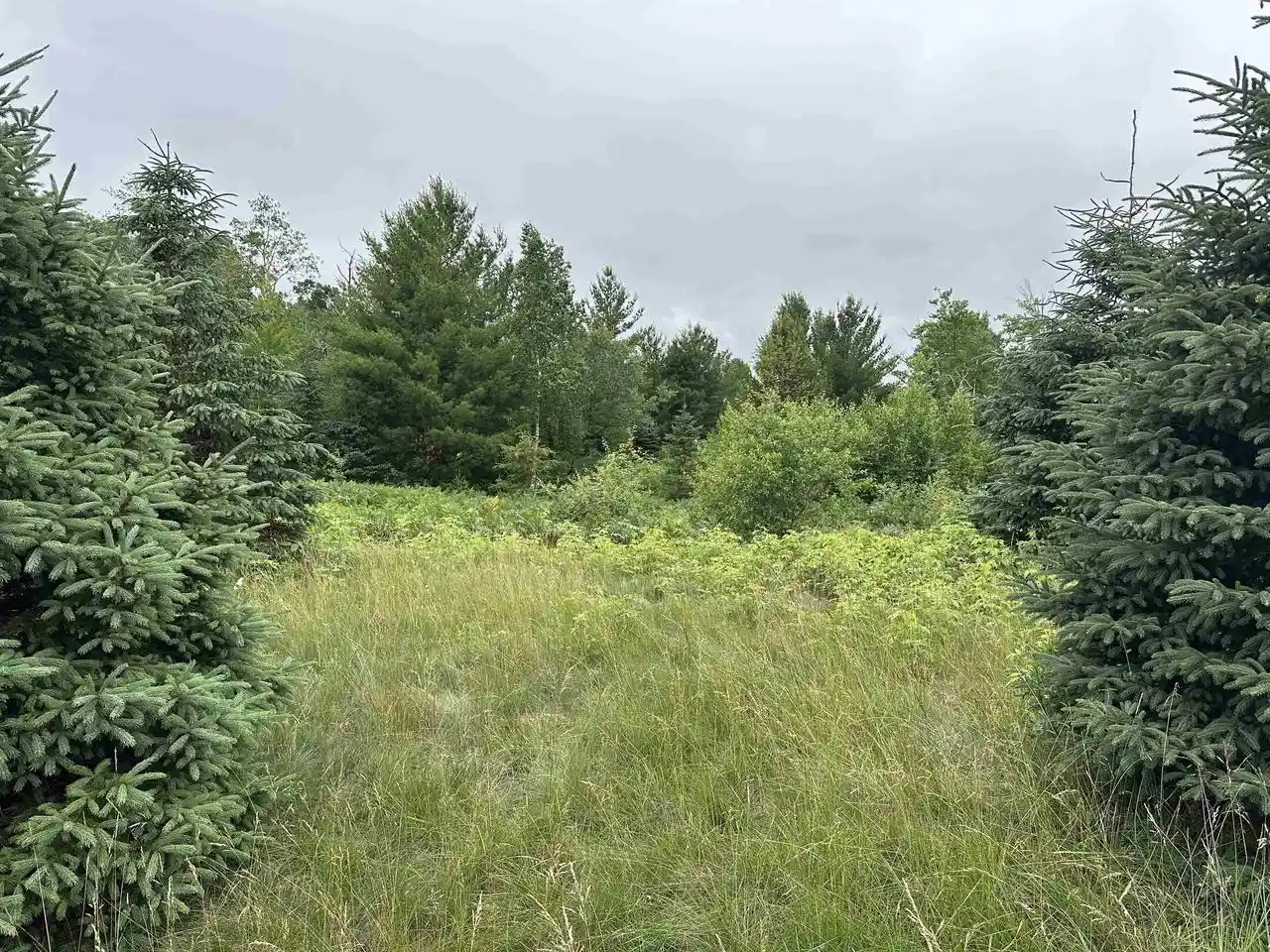 Homes for sale in Wisconsin Rapids, WI | Lot 41 Point Trail Trail, Wisconsin Rapids, WI 54494 | MLS# 22502901
