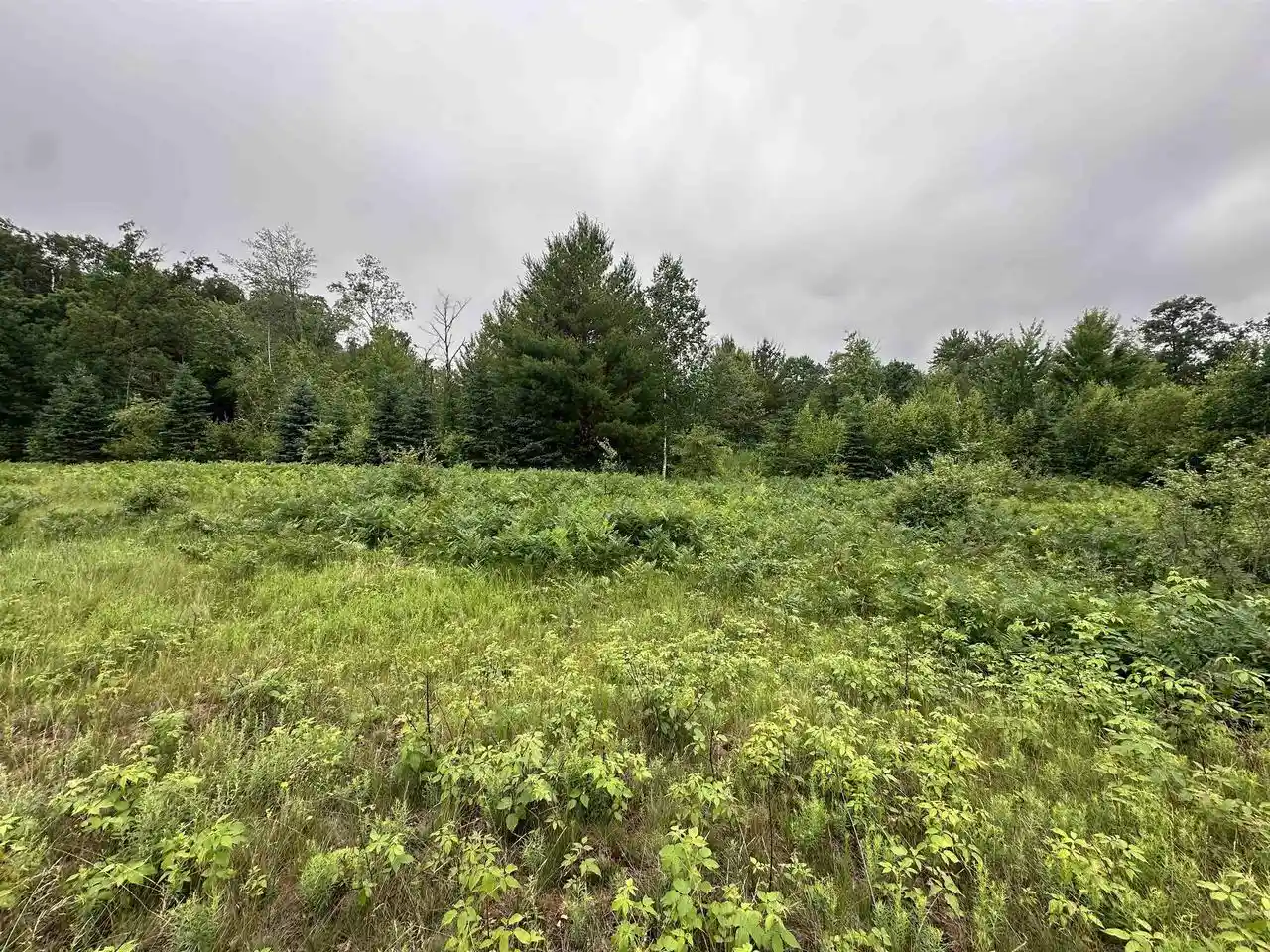 Homes for sale in Wisconsin Rapids, WI | Lot 41 Point Trail Trail, Wisconsin Rapids, WI 54494 | MLS# 22502901