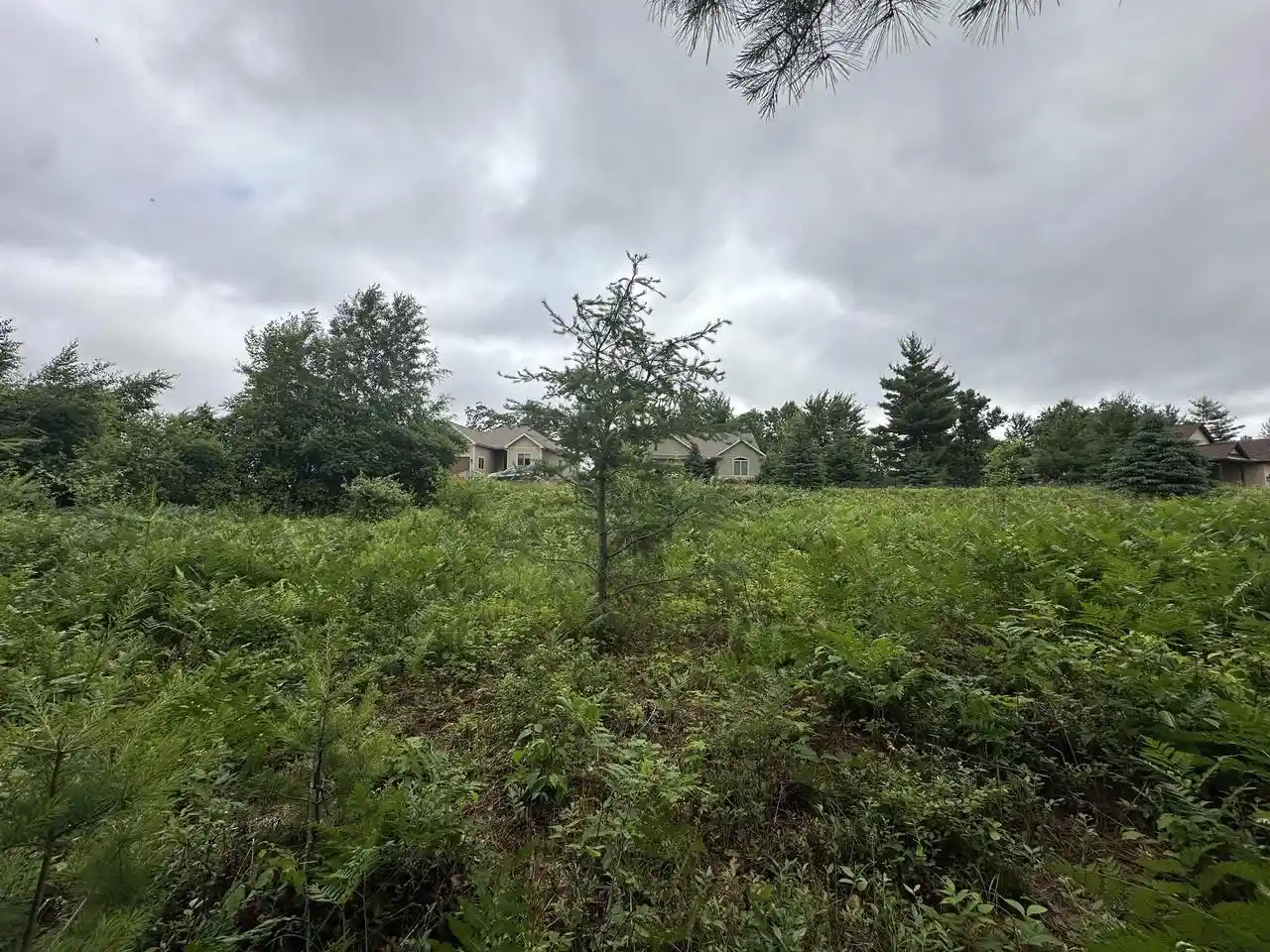 Homes for sale in Wisconsin Rapids, WI | Lot 41 Point Trail Trail, Wisconsin Rapids, WI 54494 | MLS# 22502901