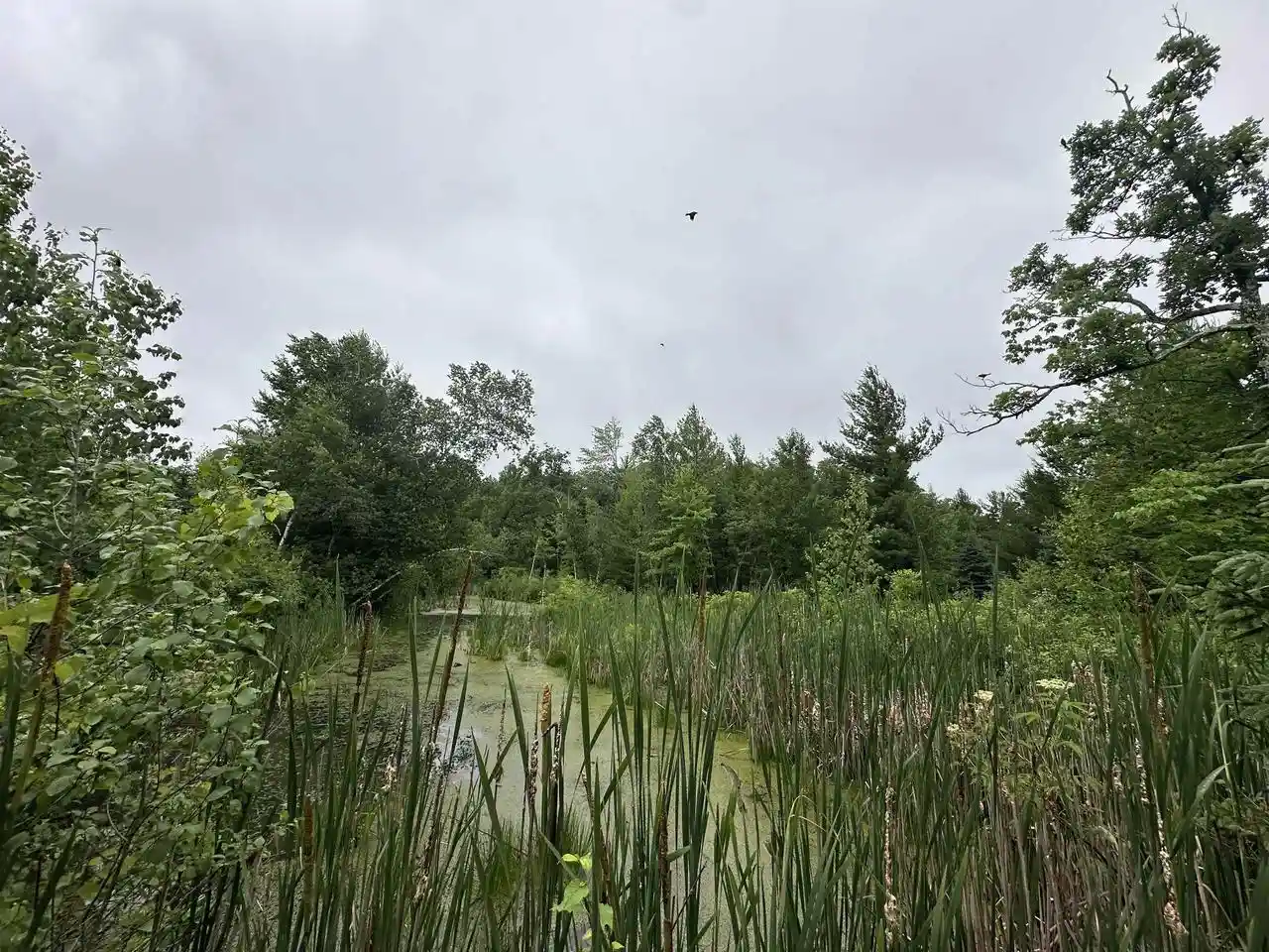 Homes for sale in Wisconsin Rapids, WI | Lot 41 Point Trail Trail, Wisconsin Rapids, WI 54494 | MLS# 22502901
