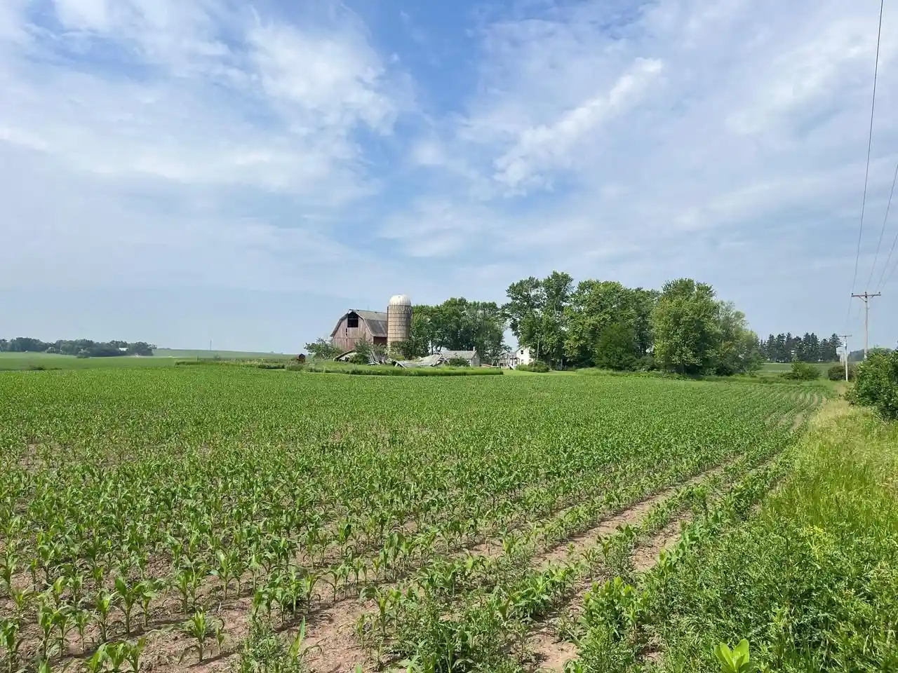 4th image of 4923 Meek Road Road, Arlington, WI 53911 | MLS# 2003526