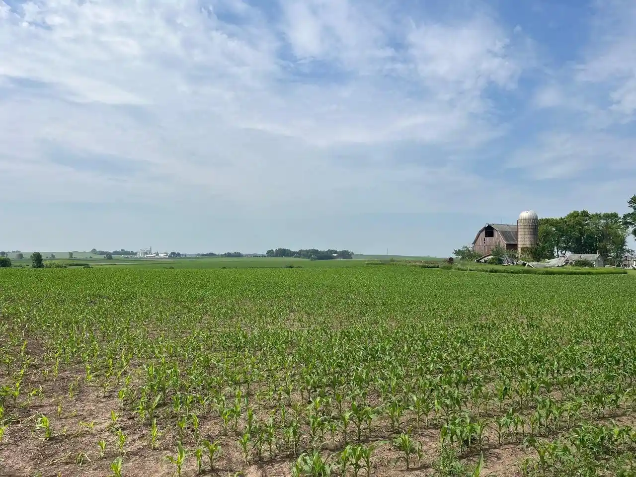 5th image of 4923 Meek Road Road, Arlington, WI 53911 | MLS# 2003526