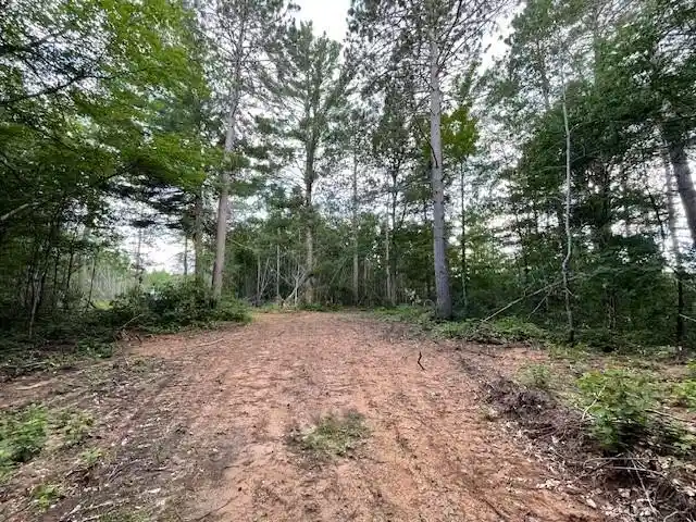 2nd image of 0 Hwy 63, Springbrook, WI 54875 | MLS# 1593195
