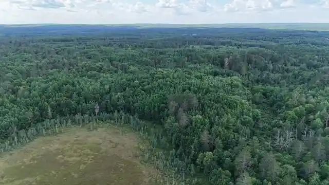 5th image of 0 Hwy 63, Springbrook, WI 54875 | MLS# 1593195