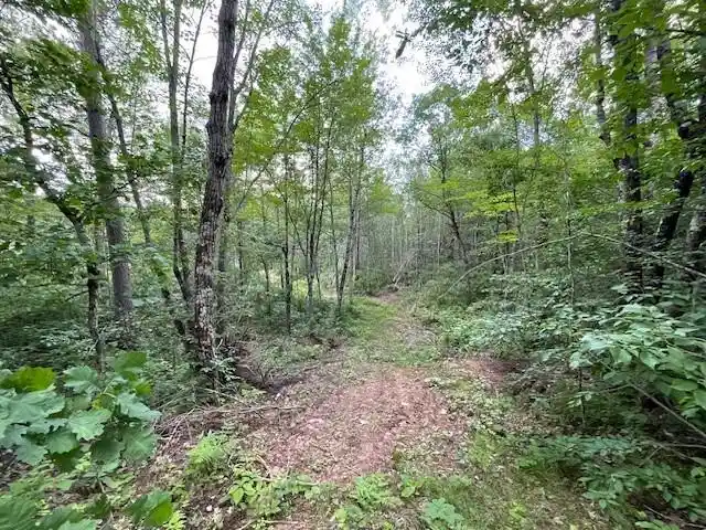 19th image of 0 Hwy 63, Springbrook, WI 54875 | MLS# 1593195