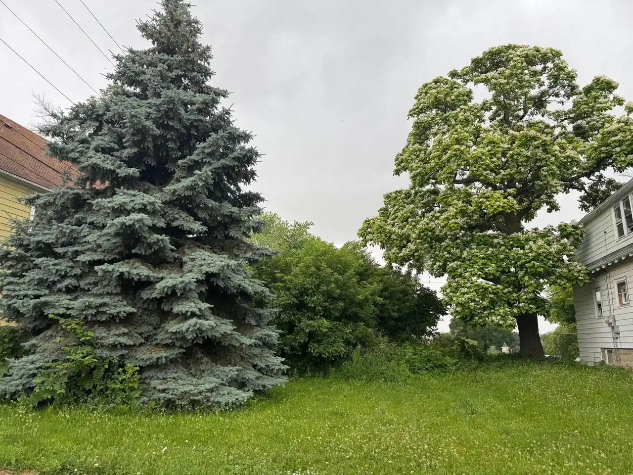 Homes for sale in Milwaukee, WI | 323 N 36th Street Street, Milwaukee, WI 53208 | MLS# 1925100