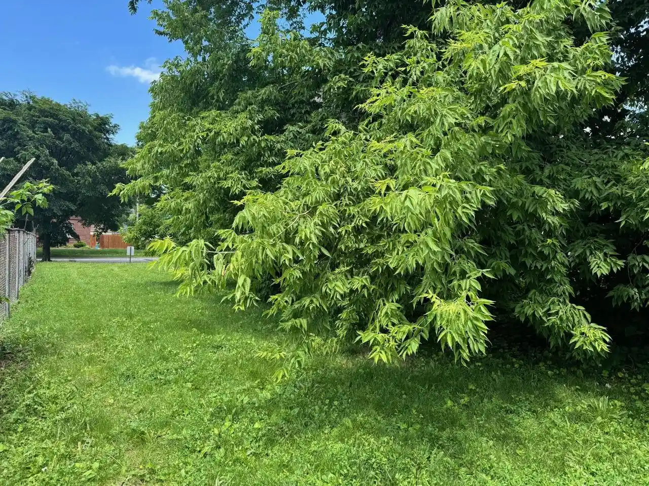 Photo 3 of Land for sale at 3121 W St Paul Avenue Avenue, Milwaukee, WI 53208 | MLS# 1925133 | Listing updated on 2026-08-28