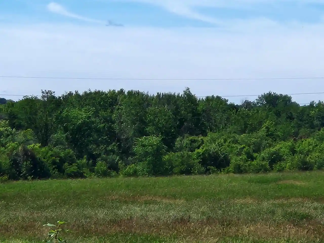 Homes for sale in Cadott, WI | 503 W North Road Road, Cadott, WI 54727 | MLS# 22503027