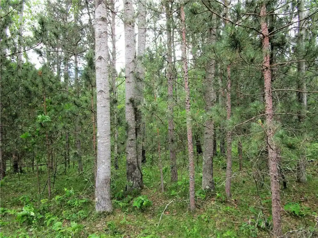 Photo 1 of Land for sale at Lot 111 & 112 Bridle Road Road, Webster, WI 54893 | MLS# 1593397 | Listing updated on 2026-07-22