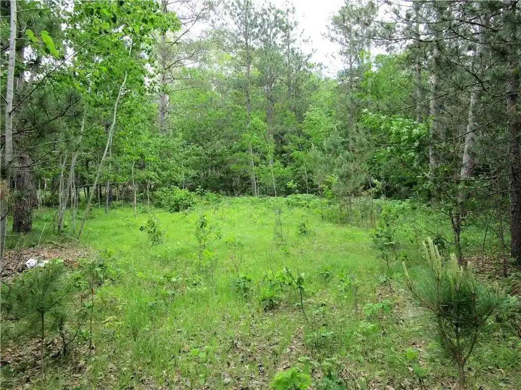Photo 3 of Land for sale at Lot 111 & 112 Bridle Road Road, Webster, WI 54893 | MLS# 1593397 | Listing updated on 2026-07-22