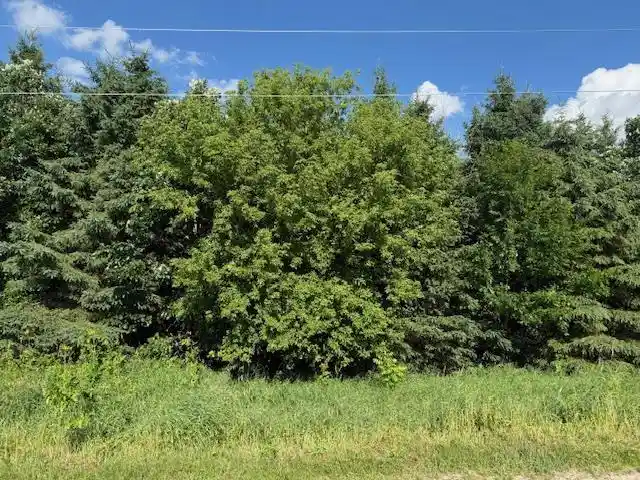 Photo 3 of Land for sale at Artesian Road Road, Fond Du Lac, WI 54935 | MLS# 50311633 | Listing updated on 2026-08-26