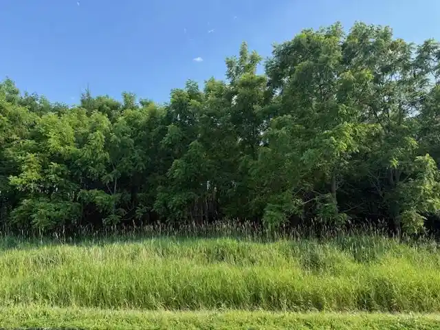 Photo 3 of Land for sale at Artesian Road Road, Fond Du Lac, WI 54935 | MLS# 50311633 | Listing updated on 2026-08-26