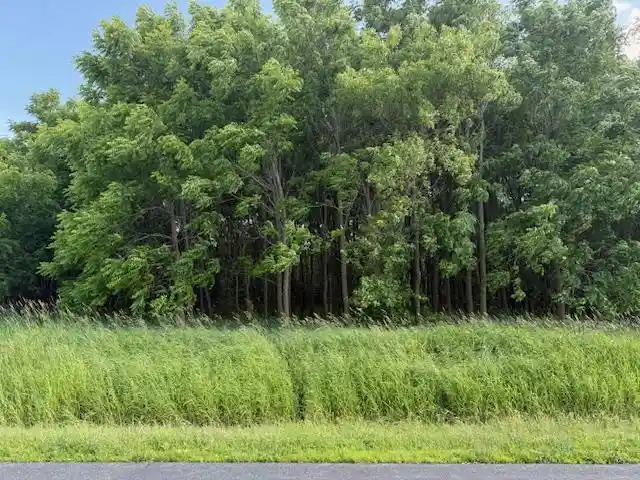 Photo 4 of Land for sale at Artesian Road Road, Fond Du Lac, WI 54935 | MLS# 50311633 | Listing updated on 2026-08-26