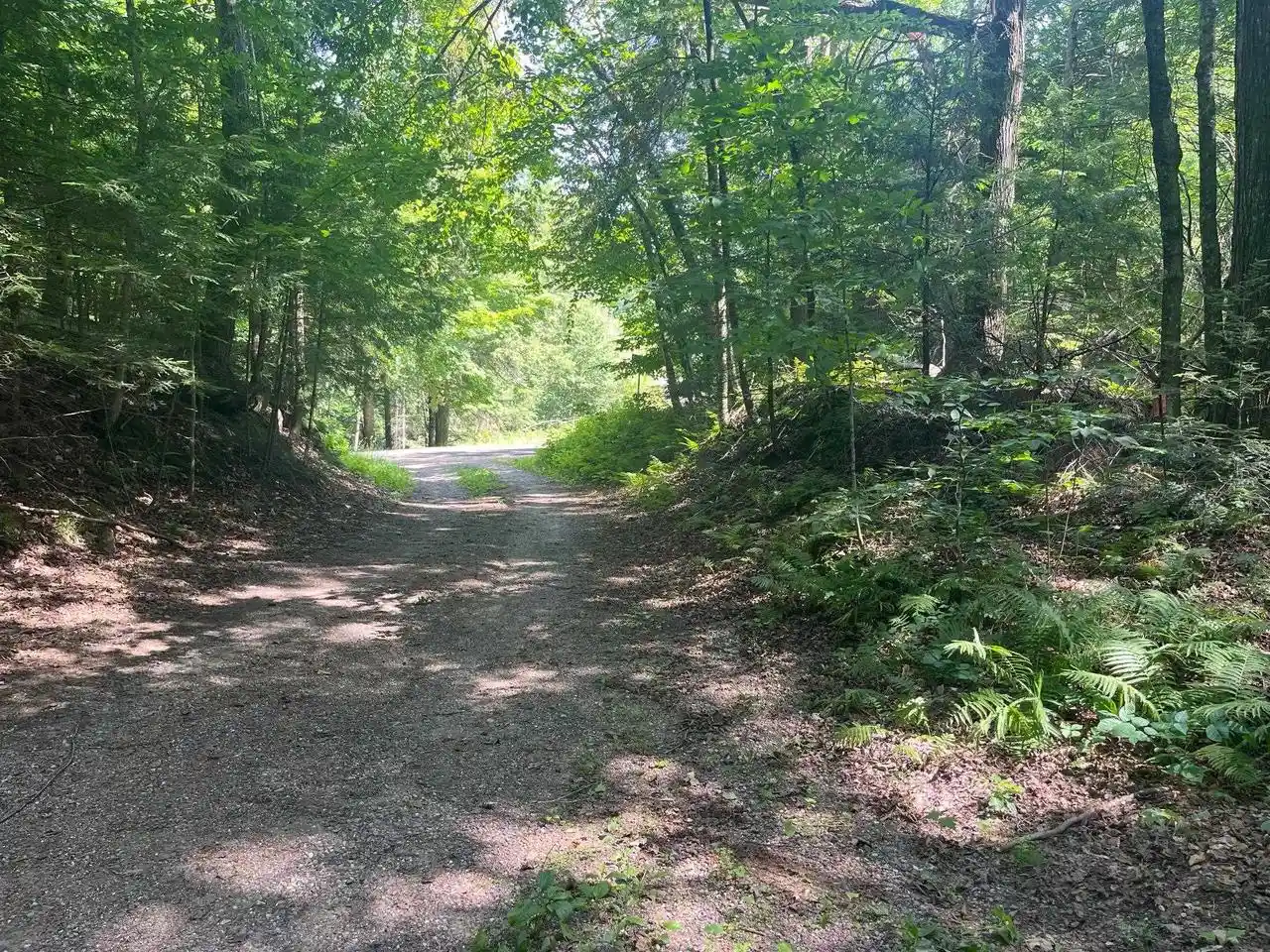 5th image of 17197 Patti Lane Lane, Lakewood, WI 54138 | MLS# 50311708
