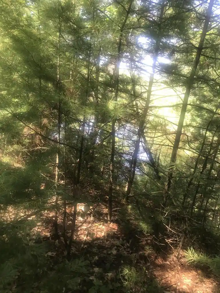 3rd image of 0 Fawn Lane Lane, Peshtigo, WI 54157 | MLS# 2004885