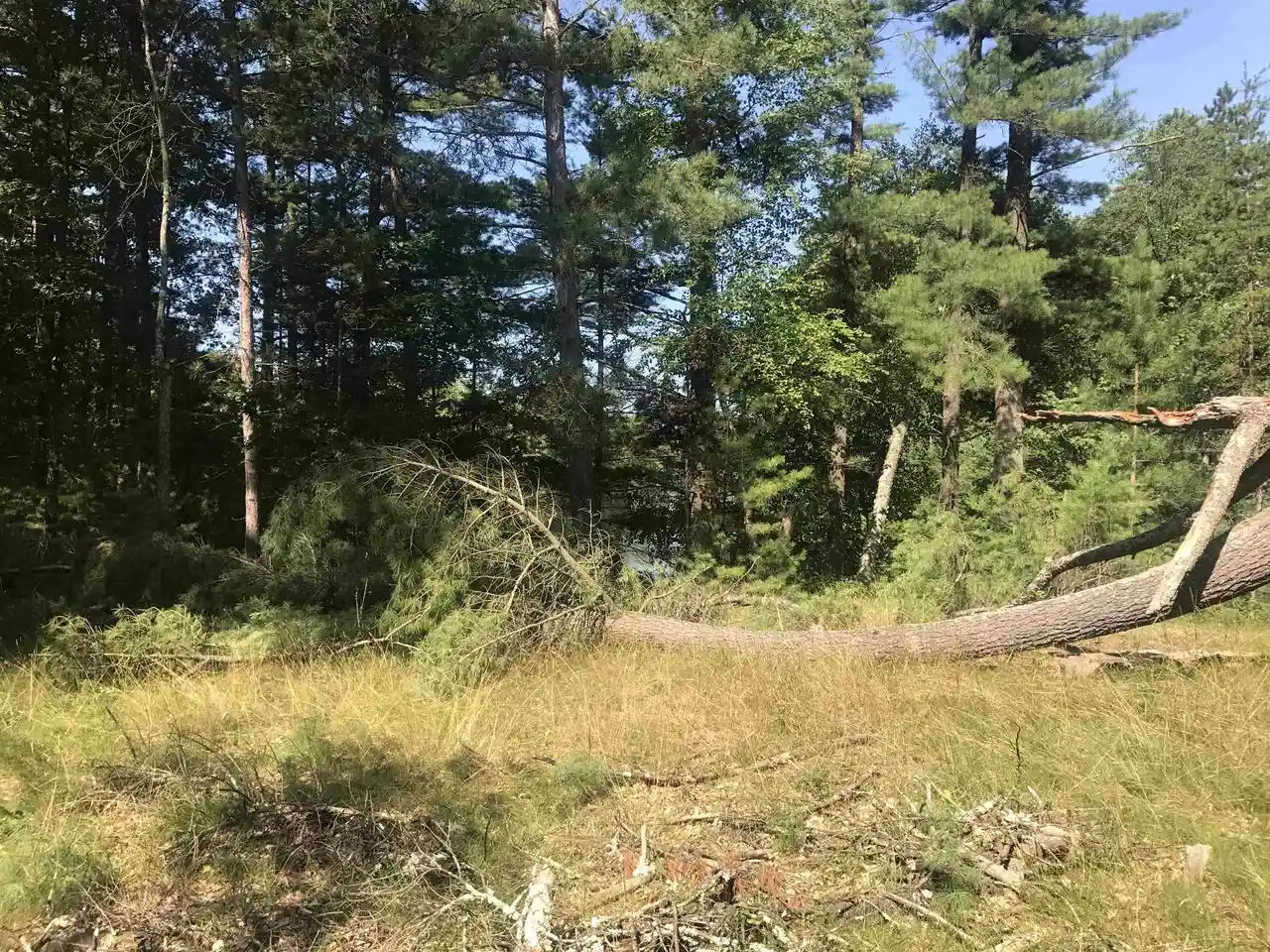 4th image of 0 Fawn Lane Lane, Peshtigo, WI 54157 | MLS# 2004885
