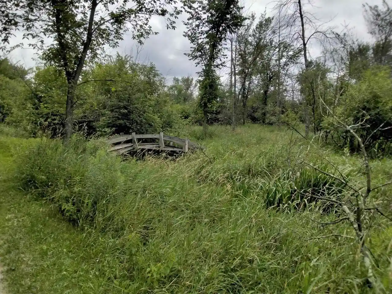 3rd image of W3021 County Road C, Montello, WI 53949 | MLS# 2004977
