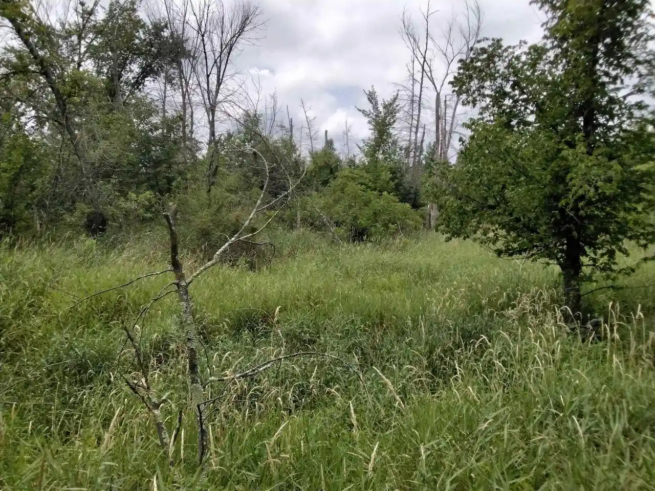 4th image of W3021 County Road C, Montello, WI 53949 | MLS# 2004977