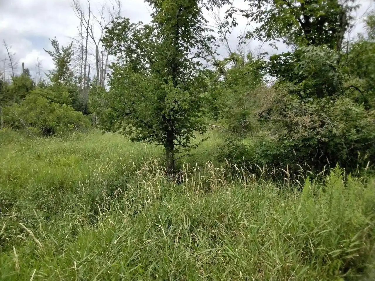 5th image of W3021 County Road C, Montello, WI 53949 | MLS# 2004977
