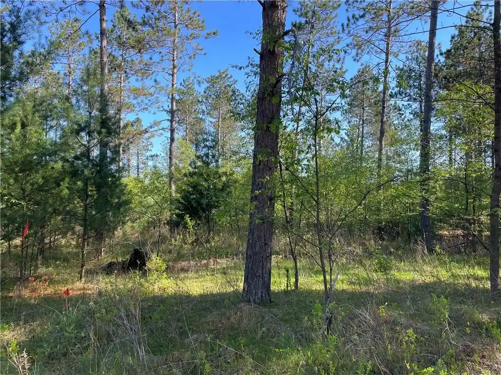 1st image of Lot 1 Murphy Boulevard Boulevard, Hayward, WI 54843 | MLS# 1593884