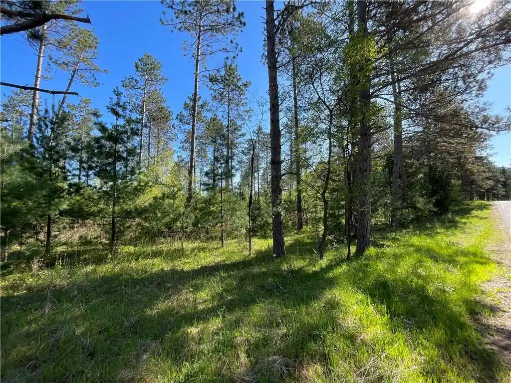 2nd image of Lot 1 Murphy Boulevard Boulevard, Hayward, WI 54843 | MLS# 1593884