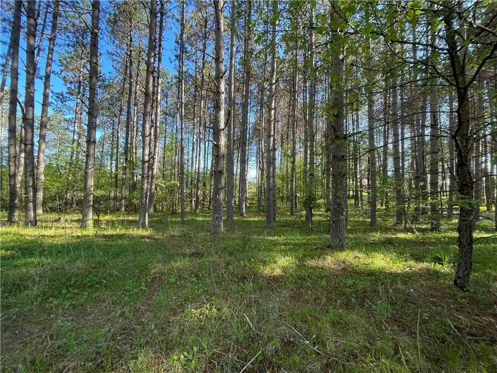 Photo 1 of Land for sale at Lot 3 Murphy Boulevard Boulevard, Hayward, WI 54843 | MLS# 1593886 | Listing updated on 2026-07-29