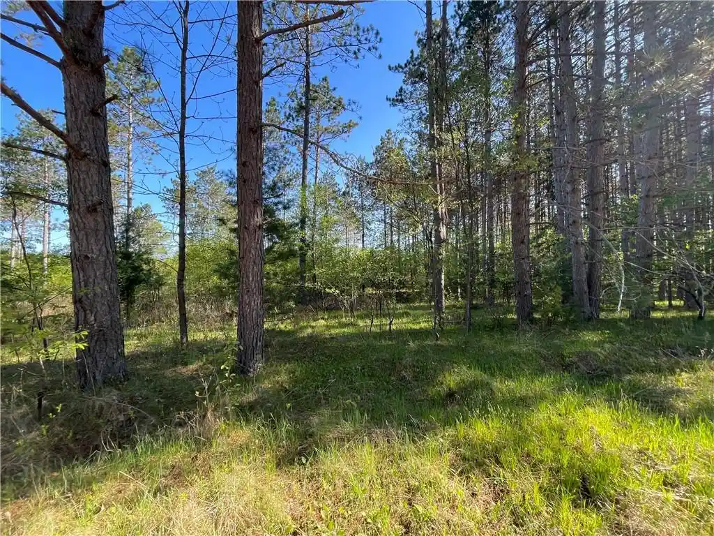 Photo 2 of Land for sale at Lot 3 Murphy Boulevard Boulevard, Hayward, WI 54843 | MLS# 1593886 | Listing updated on 2026-07-29