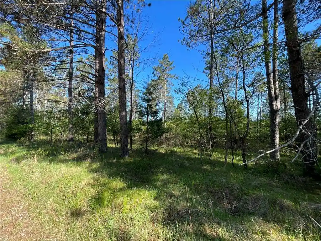 Photo 3 of Land for sale at Lot 3 Murphy Boulevard Boulevard, Hayward, WI 54843 | MLS# 1593886 | Listing updated on 2026-07-29