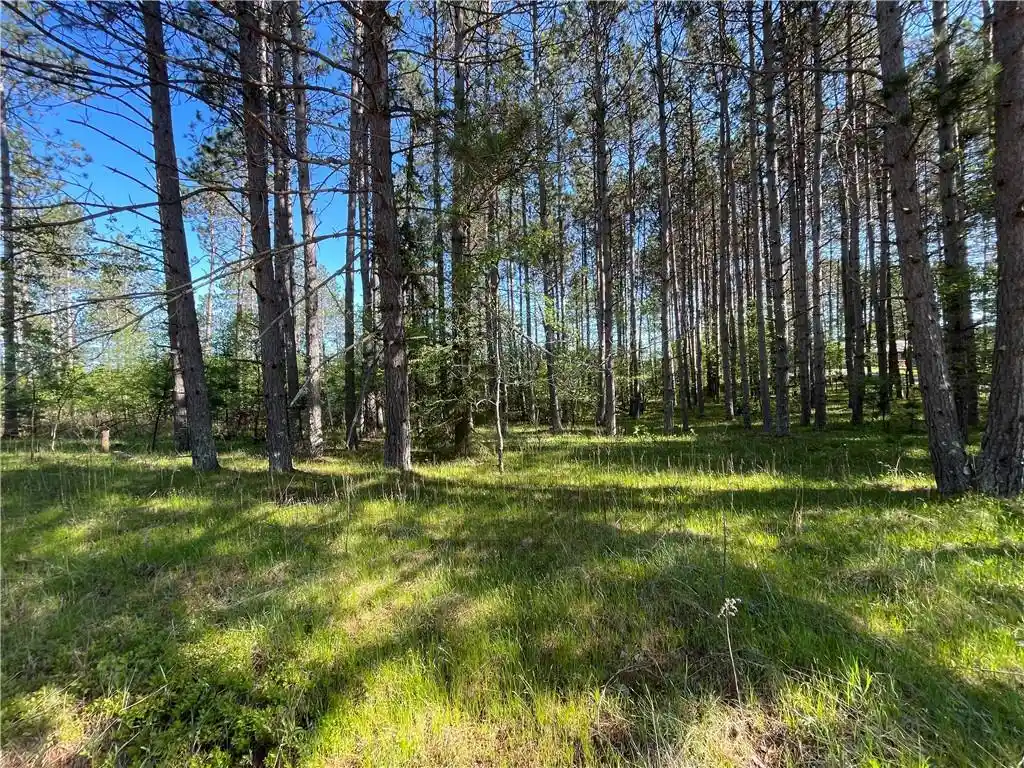 Photo 3 of Land for sale at Lot 3 Murphy Boulevard Boulevard, Hayward, WI 54843 | MLS# 1593886 | Listing updated on 2026-07-29