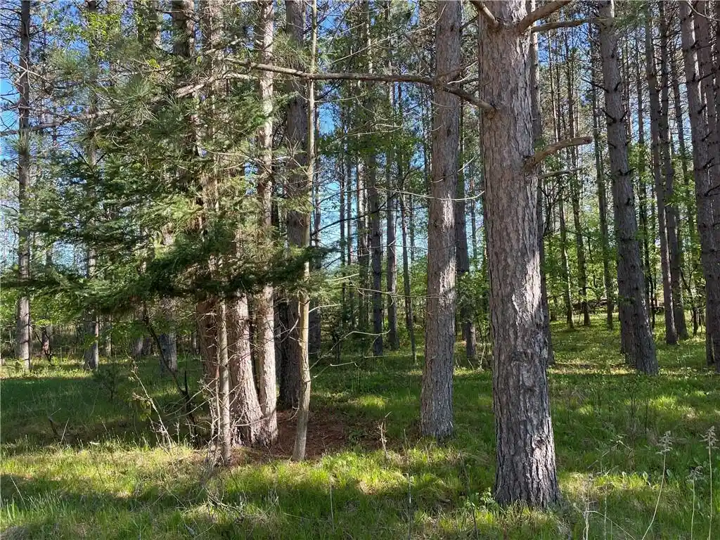 Photo 4 of Land for sale at Lot 3 Murphy Boulevard Boulevard, Hayward, WI 54843 | MLS# 1593886 | Listing updated on 2026-07-29