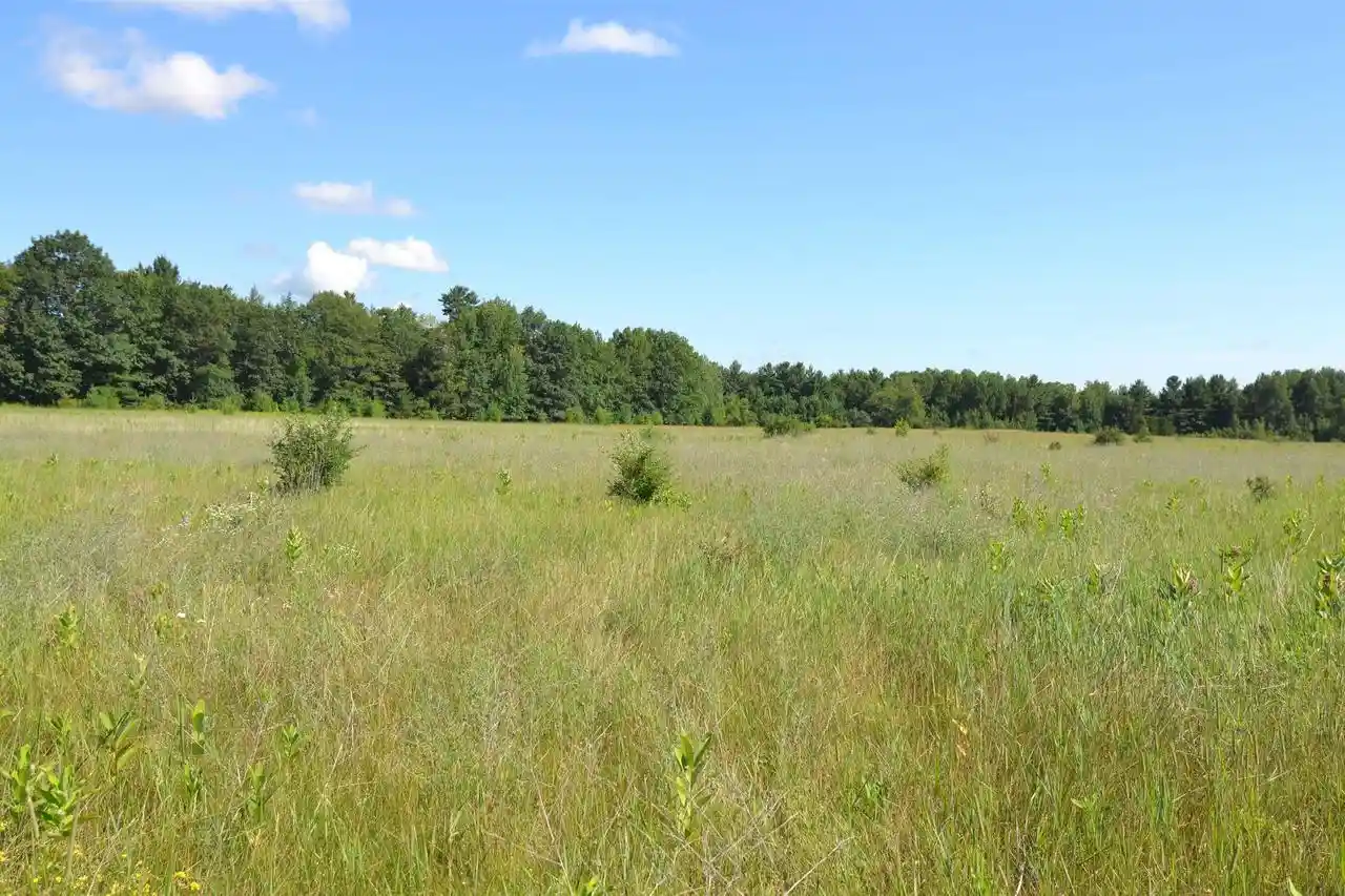 5th image of 149722 County Road Nn, Rib Mountain, WI 54401 | MLS# 22503582
