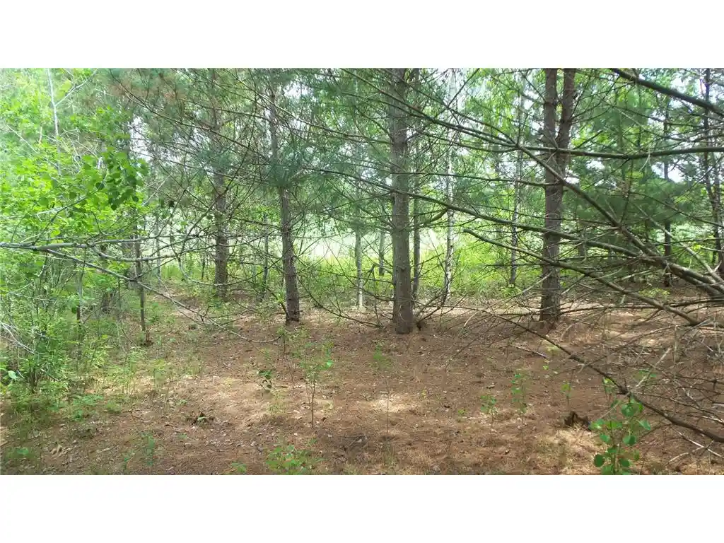 10th image of Lot 21 Maple Ln, Siren, WI 54872 | MLS# 6765887