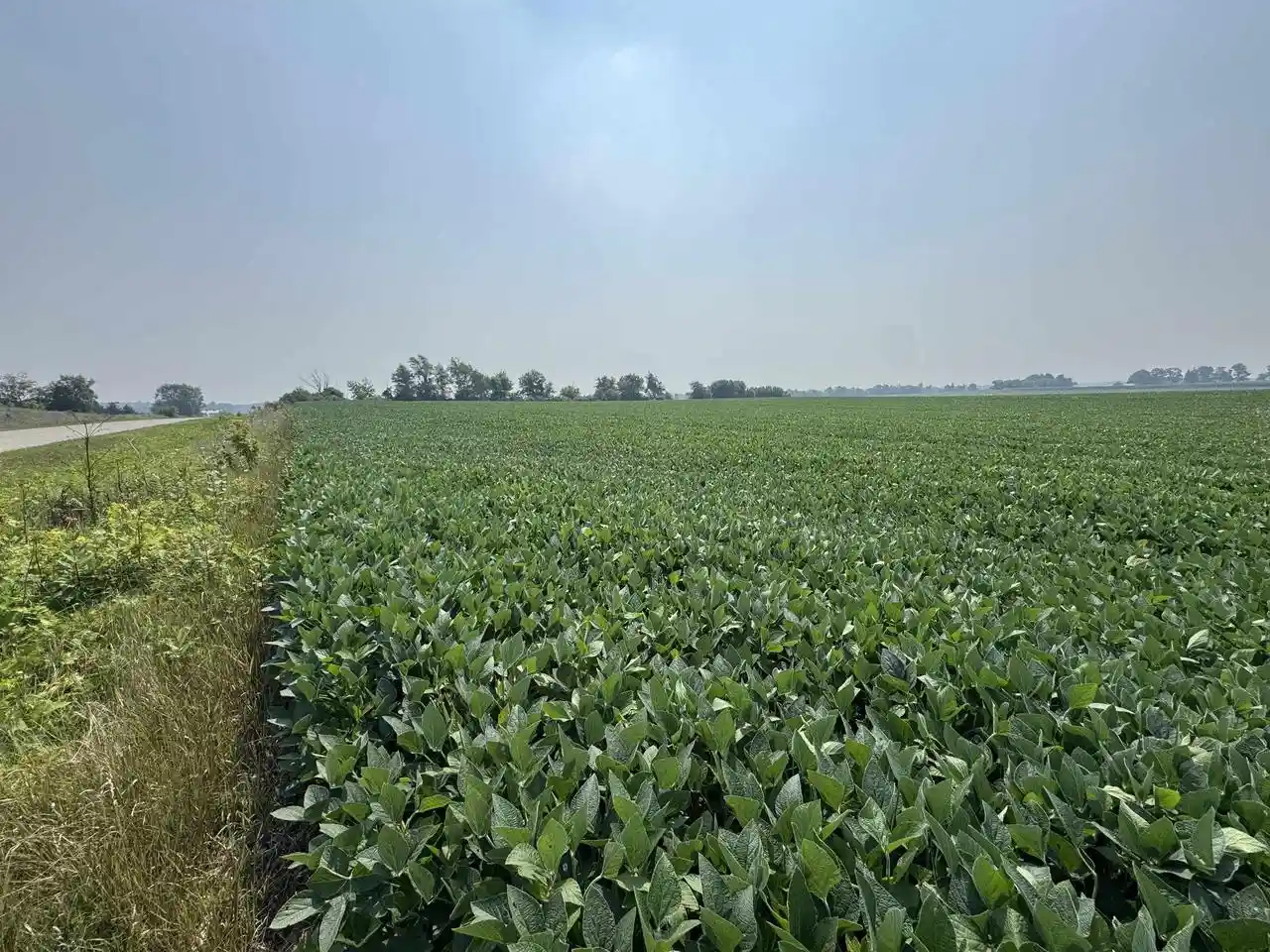 Photo 3 of Land for sale at Commercial Dr Dr, Waupaca, WI 54981 | MLS# 50312984 | Listing updated on 2026-08-18