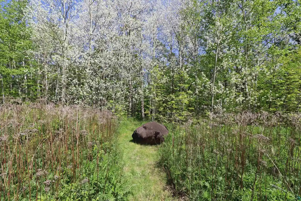 Photo 3 of Land for sale at 856Xx Eagle Run Run, Bayfield, WI 54814 | MLS# 6121231 | Listing updated on 2026-08-24