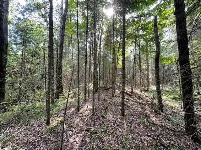 4th image of 0 Airport Road Road, Hayward, WI 54843 | MLS# 1594279