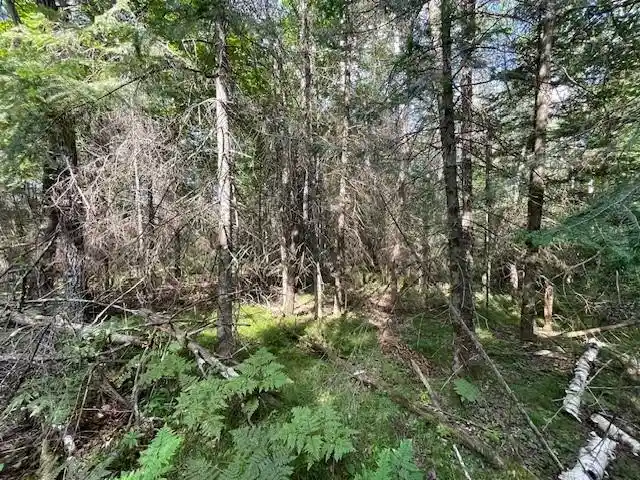 5th image of 0 Airport Road Road, Hayward, WI 54843 | MLS# 1594279