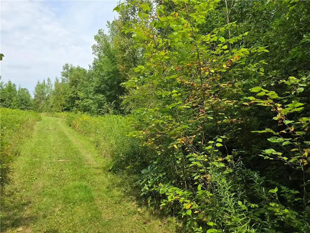 3rd image of 00 10 1/4 Avenue Avenue, Chetek, WI 54728 | MLS# 1594553