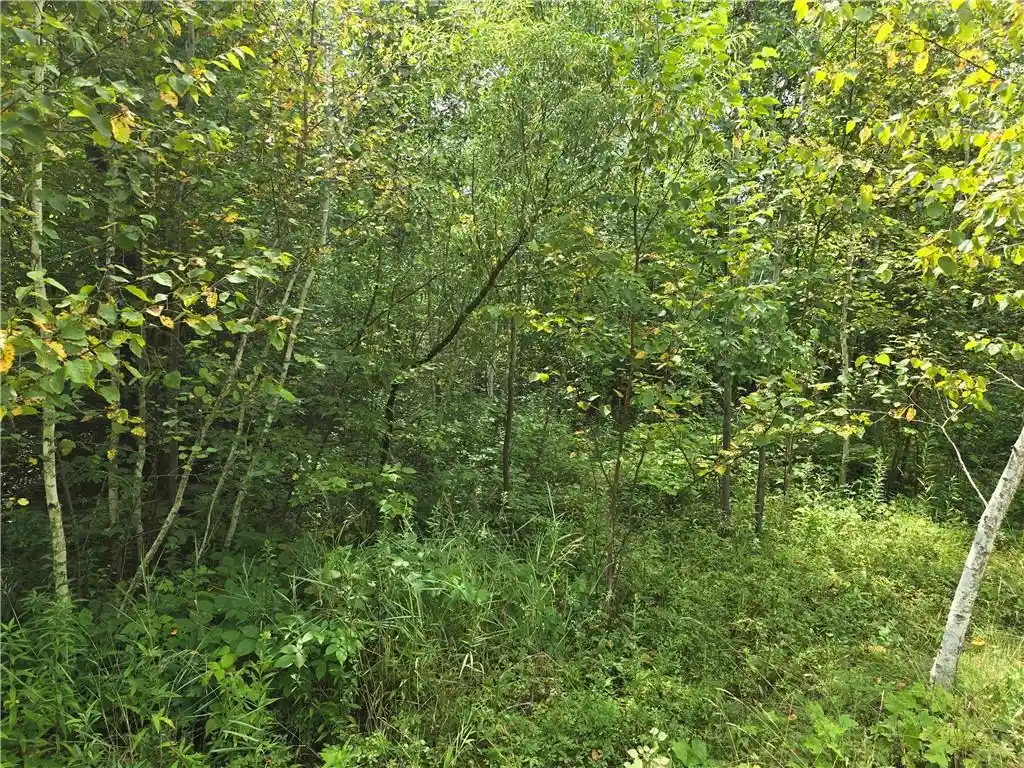 4th image of 00 10 1/4 Avenue Avenue, Chetek, WI 54728 | MLS# 1594553