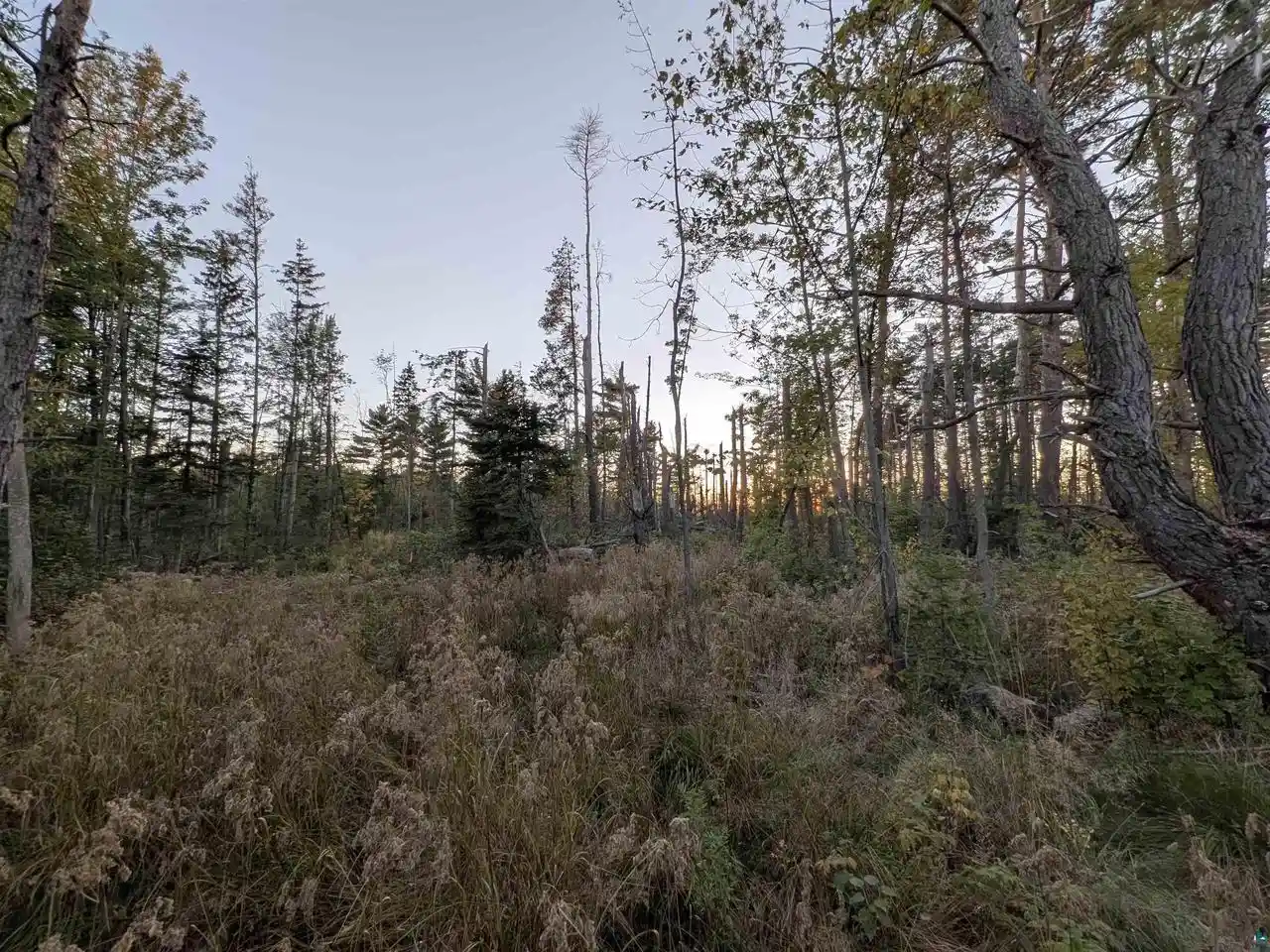 Homes for sale in Bayfield, WI | 958 Acres On Peterson Hill Rd Rd, Bayfield, WI 54814 | MLS# 6121365