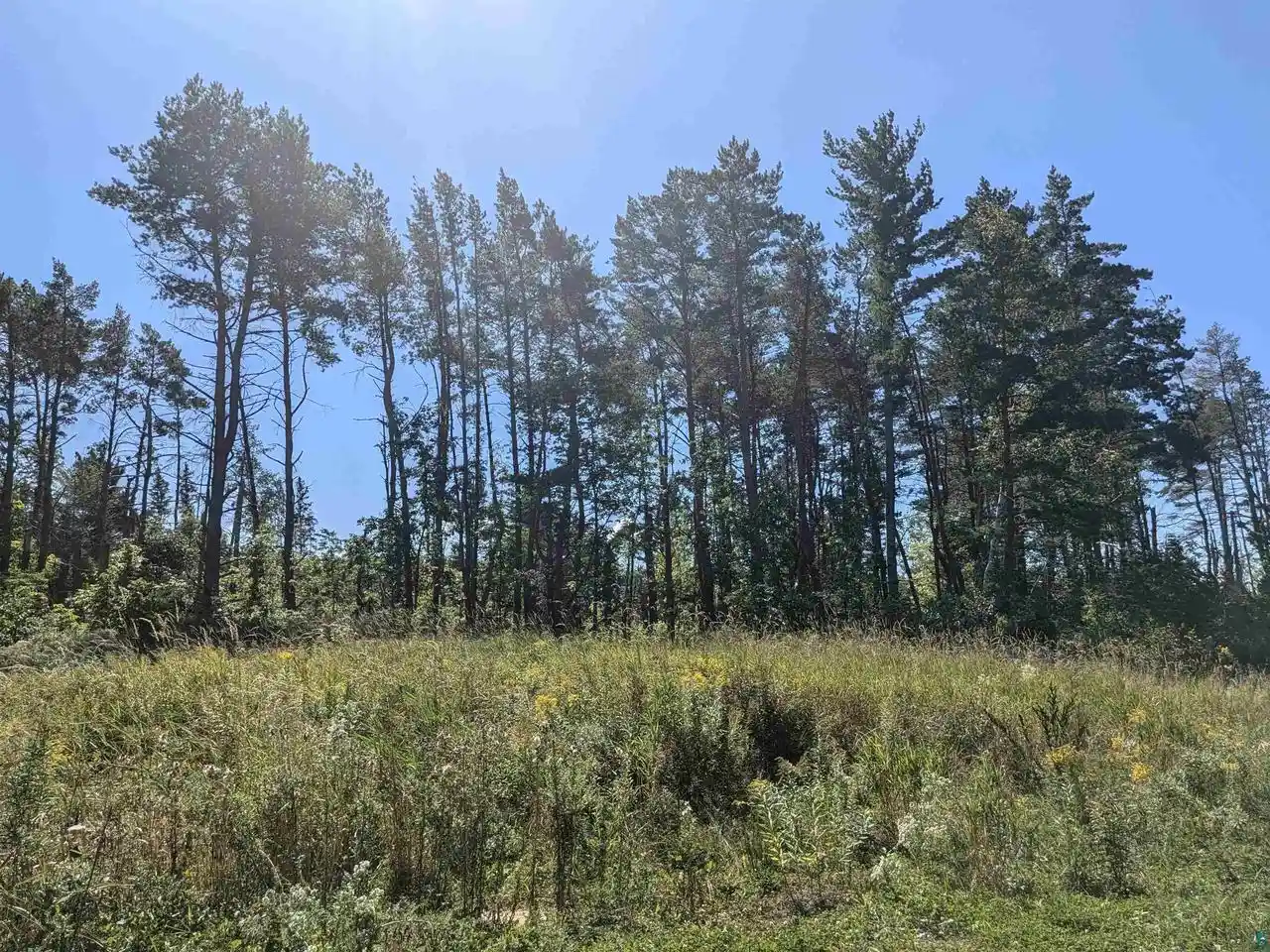 Homes for sale in Bayfield, WI | 958 Acres On Peterson Hill Rd Rd, Bayfield, WI 54814 | MLS# 6121365