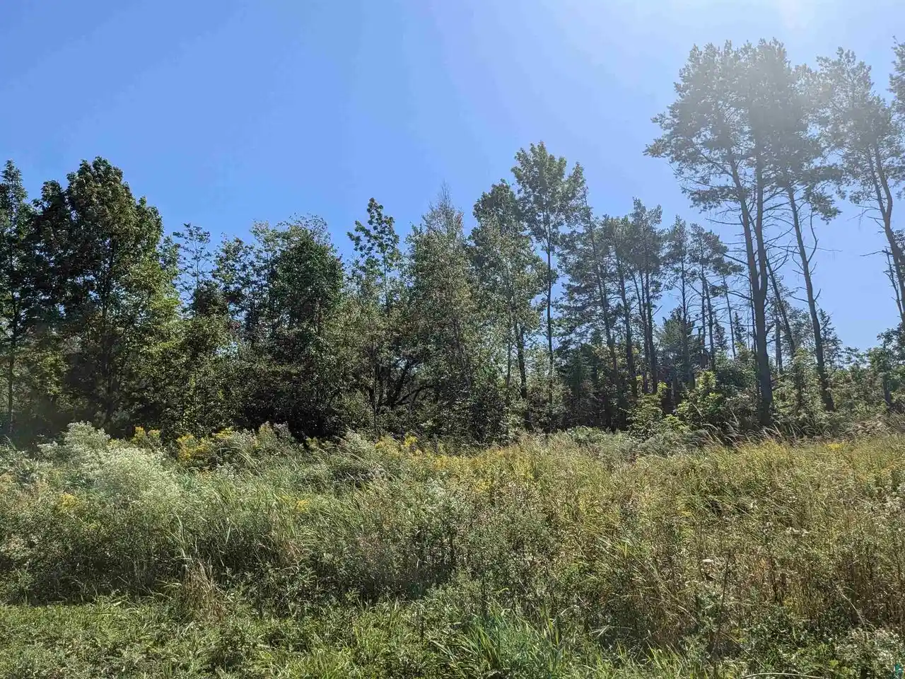 Homes for sale in Bayfield, WI | 958 Acres On Peterson Hill Rd Rd, Bayfield, WI 54814 | MLS# 6121365