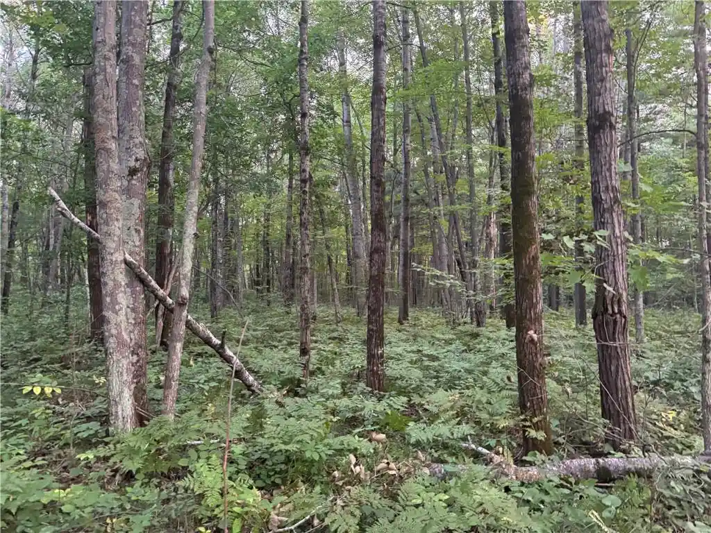 21st image of 13 Acres On County Rd A, Spooner, WI 54801 | MLS# 1594721
