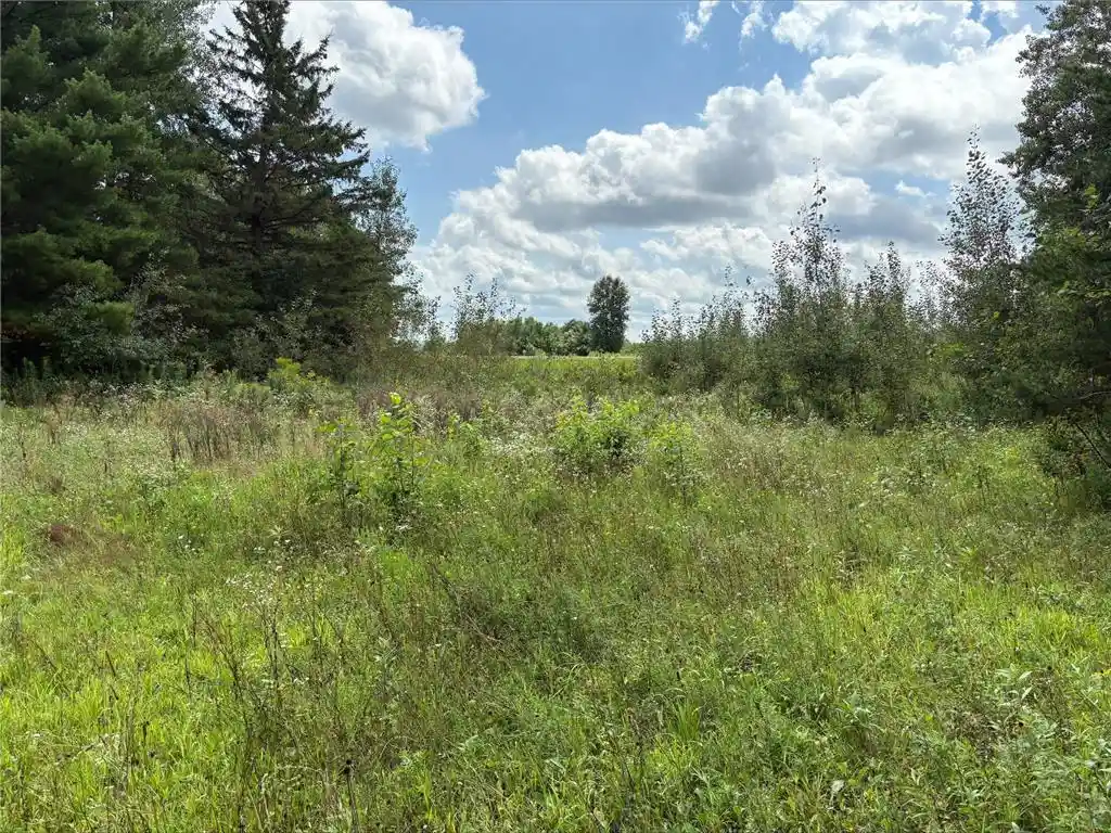 Homes for sale in Birchwood, WI | 2645 28 1/16th Avenue/gateshead Road, Birchwood, WI 54817 | MLS# 6777175
