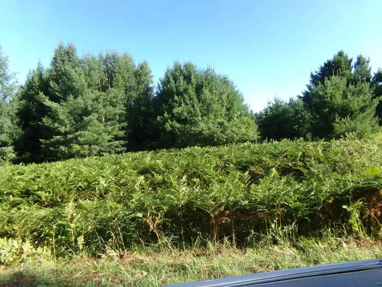 Photo 4 of Land for sale at 7581 S Marsik Rd Rd, Lake Nebagamon, WI 54849 | MLS# 6121498 | Listing updated on 2026-05-20