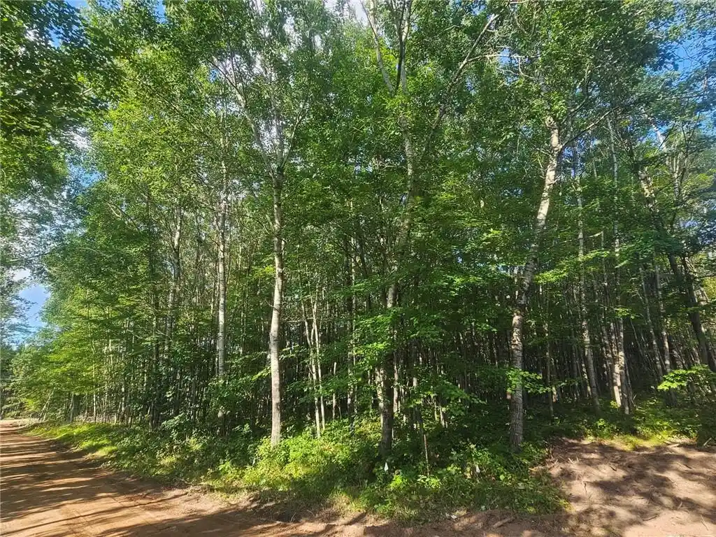 Photo 1 of Land for sale at Lot 1 County Rd A, Webster, WI 54893 | MLS# 1594970 | Listing updated on 2026-08-27