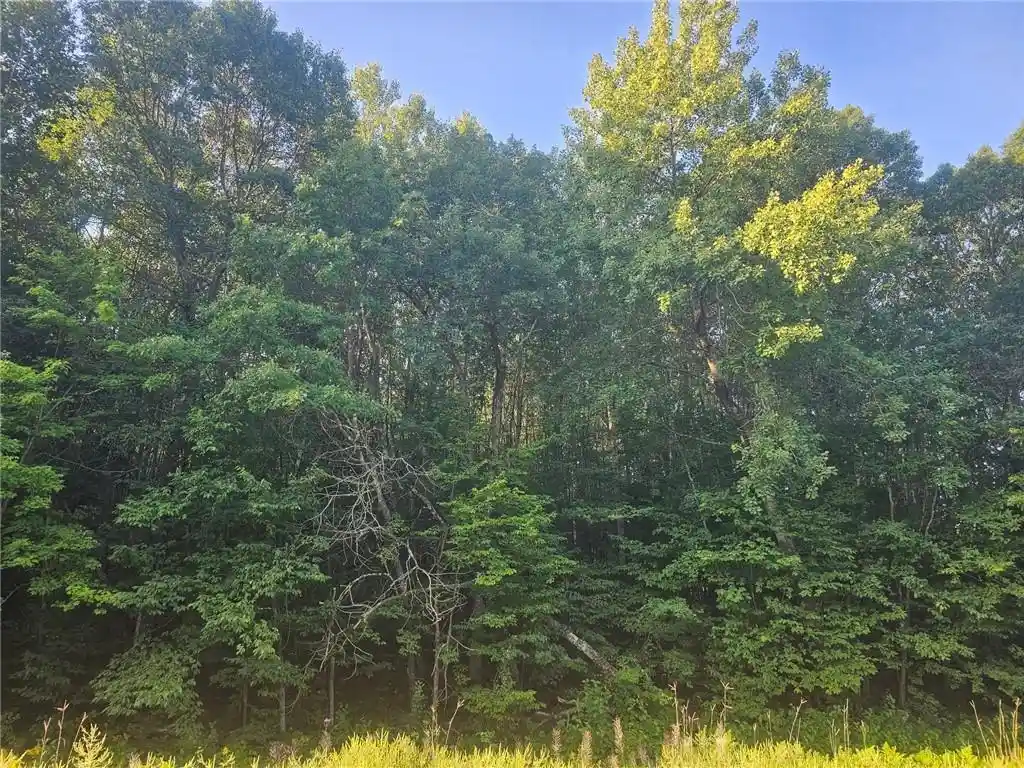 Photo 3 of Land for sale at Lot 1 County Rd A, Webster, WI 54893 | MLS# 1594970 | Listing updated on 2026-08-27