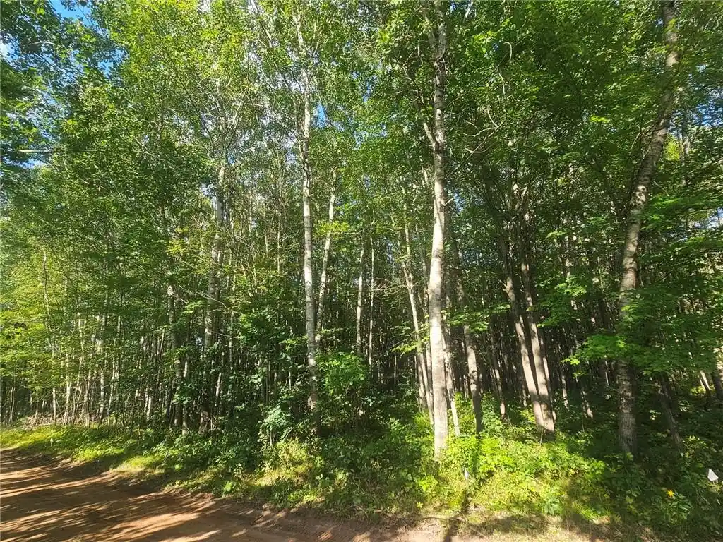 Photo 4 of Land for sale at Lot 1 County Rd A, Webster, WI 54893 | MLS# 1594970 | Listing updated on 2026-08-27
