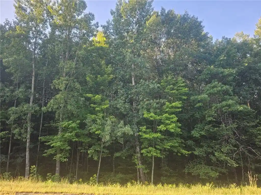Photo 1 of Land for sale at Lot 2 County Rd A, Webster, WI 54893 | MLS# 1594984 | Listing updated on 2026-08-27